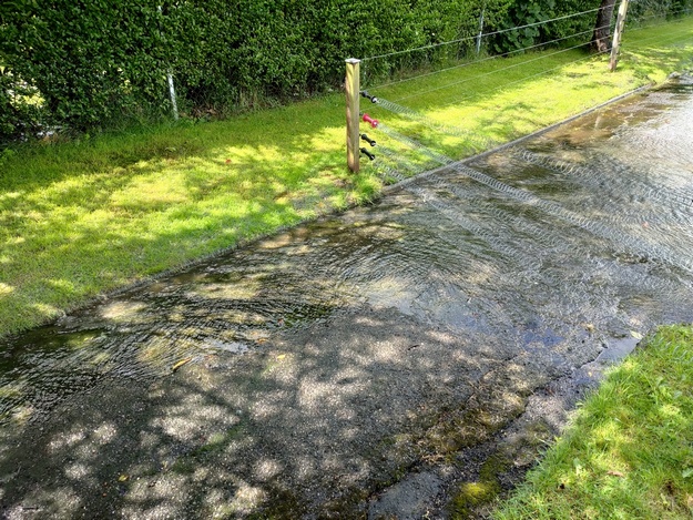 Flooded Green 11