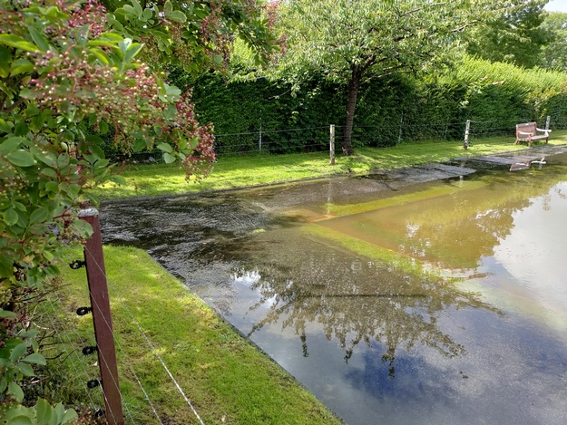 Flooded Green 9